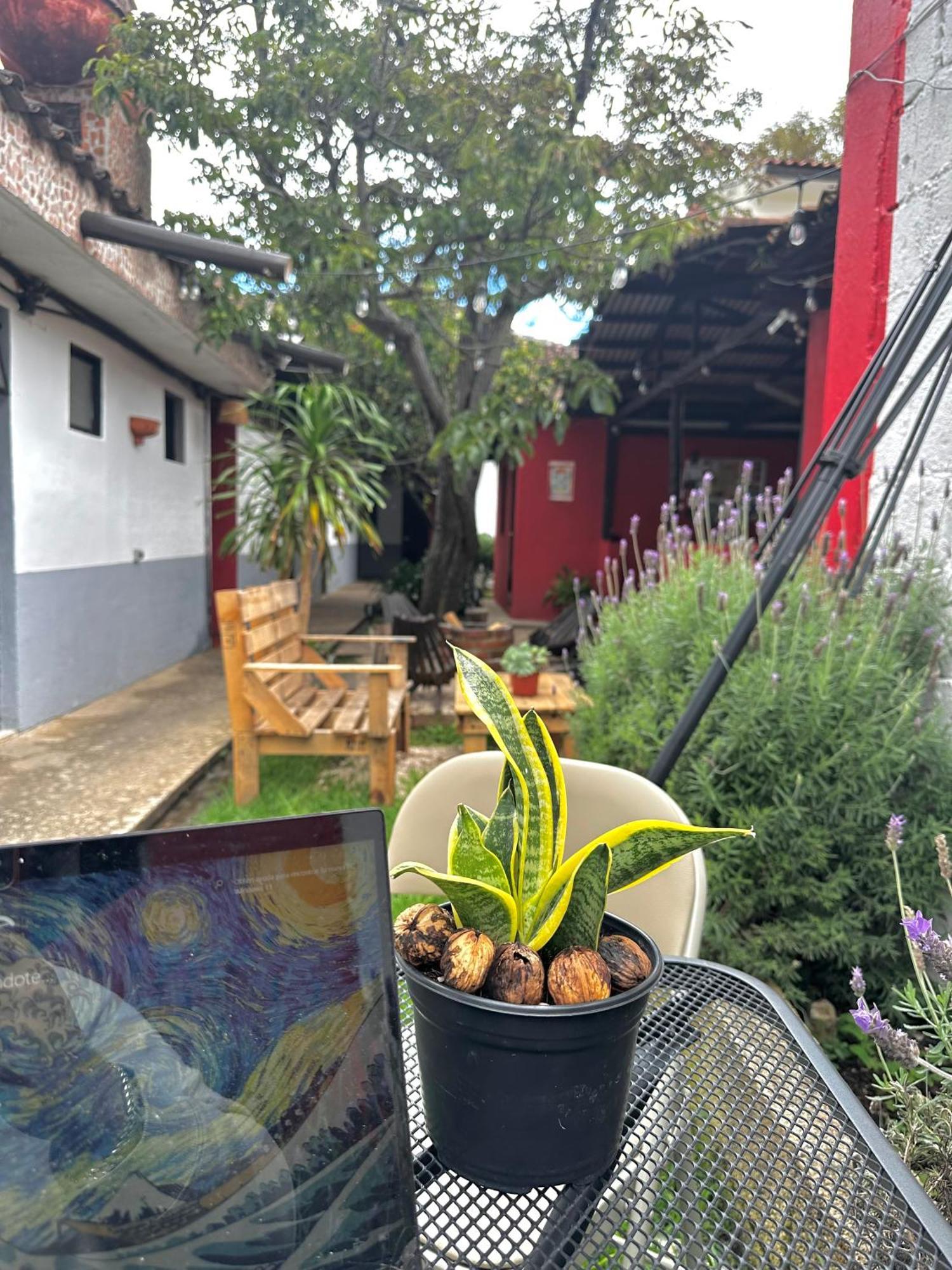 Berlin61 Hotel San Cristóbal de Las Casas Exterior foto