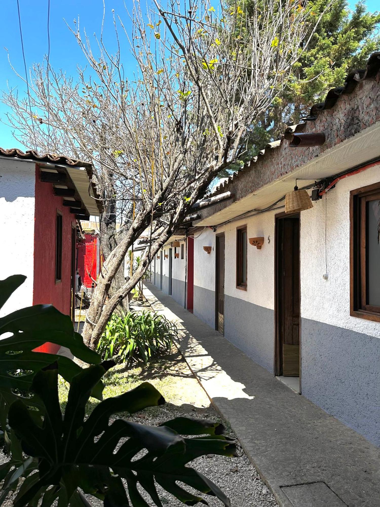 Berlin61 Hotel San Cristóbal de Las Casas Exterior foto